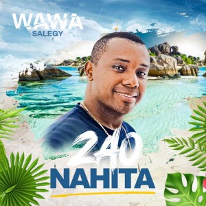 Zao Nahita by Wawa Salegy