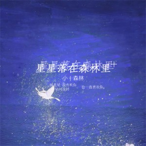 星星落在森林里