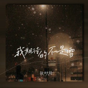 我期待的不是雪（而是有你的冬天） - DJ阿卓版