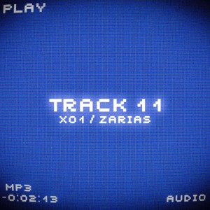 TRACK 11