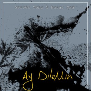 Ay Dılemın (feat. Murat Dağ)