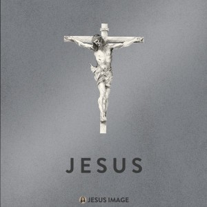 Agnus Dei (Live)