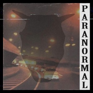Paranormal (feat. EVVORTEX)