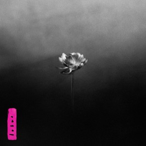 Enough (feat. Yukimi)