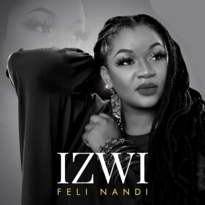 Ndizvo Here