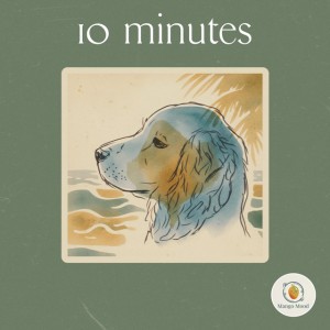 10 minutes