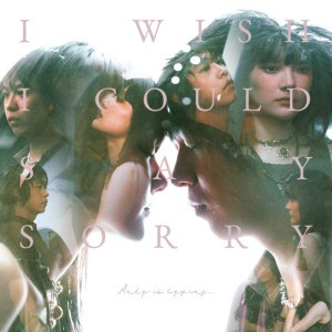 I Wish I Could Say Sorry by Andy Is Typing