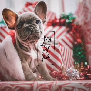 Do You Believe in Santa Claus?