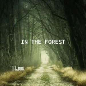 In The Forest (Acoustic Indie No Copyright) (Instrumental)