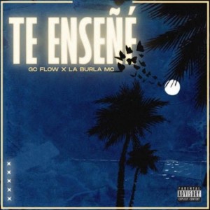 Te enseñe