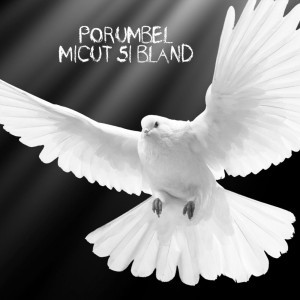 Porumbel micut si bland