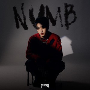 ด้านชา (Numb) [feat. Paper Planes] by PERTH & Paper Planes