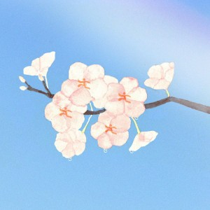 天気雨