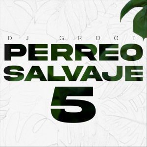 Perreo Salvaje 5 (Mix Reggaetón Old School)