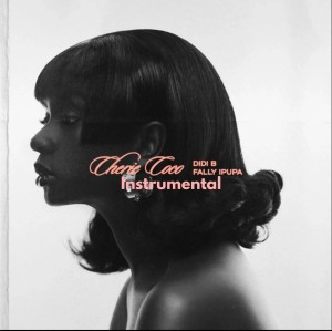 Didi B feat Fally ipupa - chérie coco instrumental
