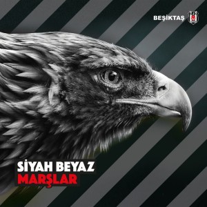 Anlayamaz Kimse Bu A?k?