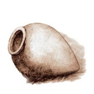 kvevrispiruli