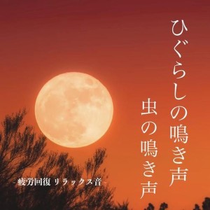 Bell cricket - Quiet autumn night -
