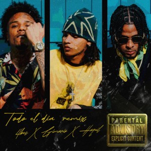 Todo el día (Remix)