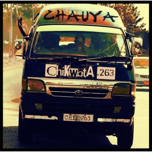 Chikwata Chauya