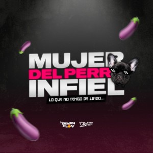 Mujer del Perro Infiel (Lo Que No Tengo de Lindo) [feat. Dj Crazy]