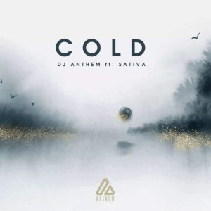 Cold by Dj Anthem & Sativa