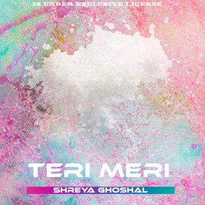 Teri Meri - Extended Mix