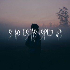 Si No Estas - Cover