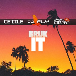Bruk It by Ce'Cile & DJ Fly & Mikado