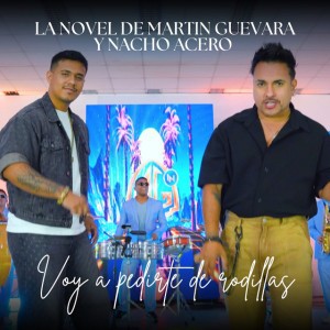 Voy a Pedirte de Rodillas by La Novel de Martín Guevara