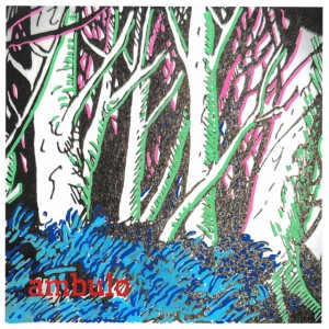 Woods