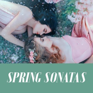 Violin Sonata in A Major, FWV. 8: I. Allegretto ben moderato