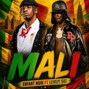 Mali (feat. Levizy 501) (Radio Edit)