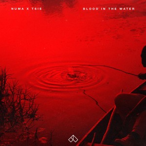 Blood In The Water
