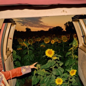 Javelin by Kevin Morby