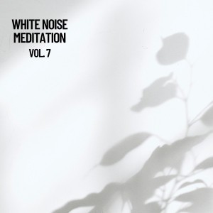 Focused Mind by Hi Freq Samples & White Noise Therapy & White Noise Spa