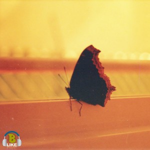 Fly Away