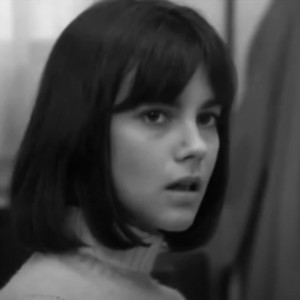 La Femme Parfaite