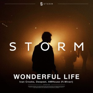 Wonderful Life