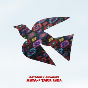Asta-i Țara Mea (feat. Advahov)
