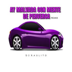 Ay Malvada Con Mente de Perversa - Remix