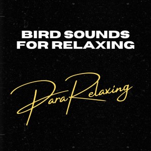 Bird Sounds For Relaxing, Pt. 11