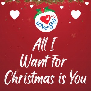 All I Want for Christmas is You