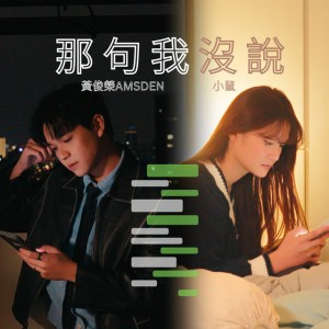 那句我沒說 by 黄俊荣 Amsden & 小鼠