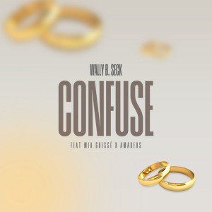 Confuse by Wally B. Seck & Mia Guisse & AMADEUS