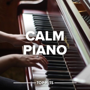 Piano Concerto in G Major, M. 83: II. Adagio assai