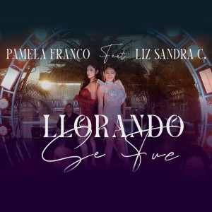 Llorando Se Fue