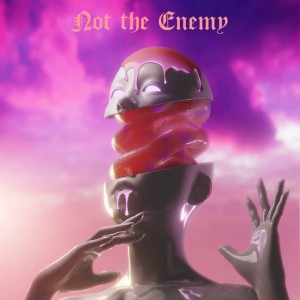 Not the Enemy
