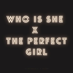 Who Is She x The Perfect Girl - Remix