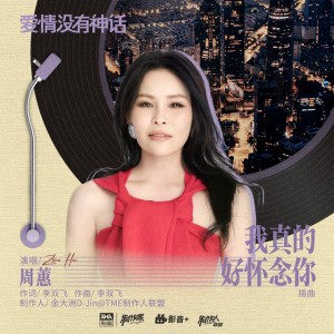 我真的好怀念你 (《爱情没有神话》电视剧插曲)